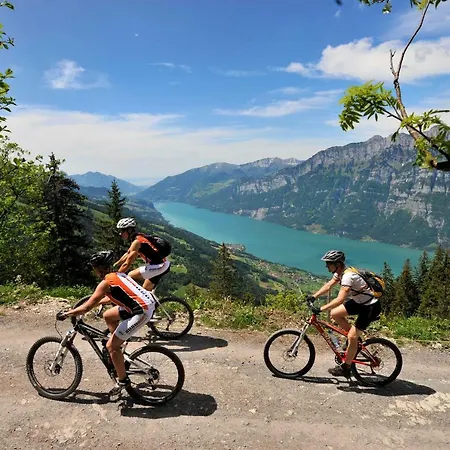 Hotel Alte Sektion Und Alpenblick Flums