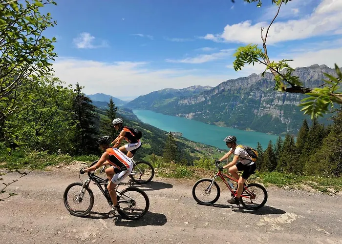 Hotel Alte Sektion Und Alpenblick Flums